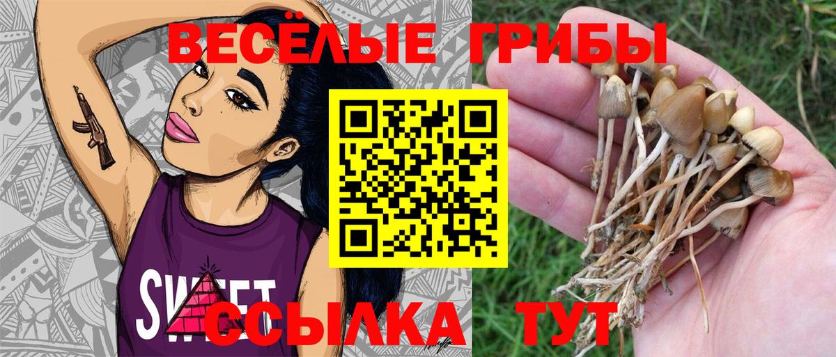 Шатура  Галлюциногенные грибы Magic Shrooms  Вход с VPN  Псилоцибиновые грибы MAGIC MUSHROOMS 